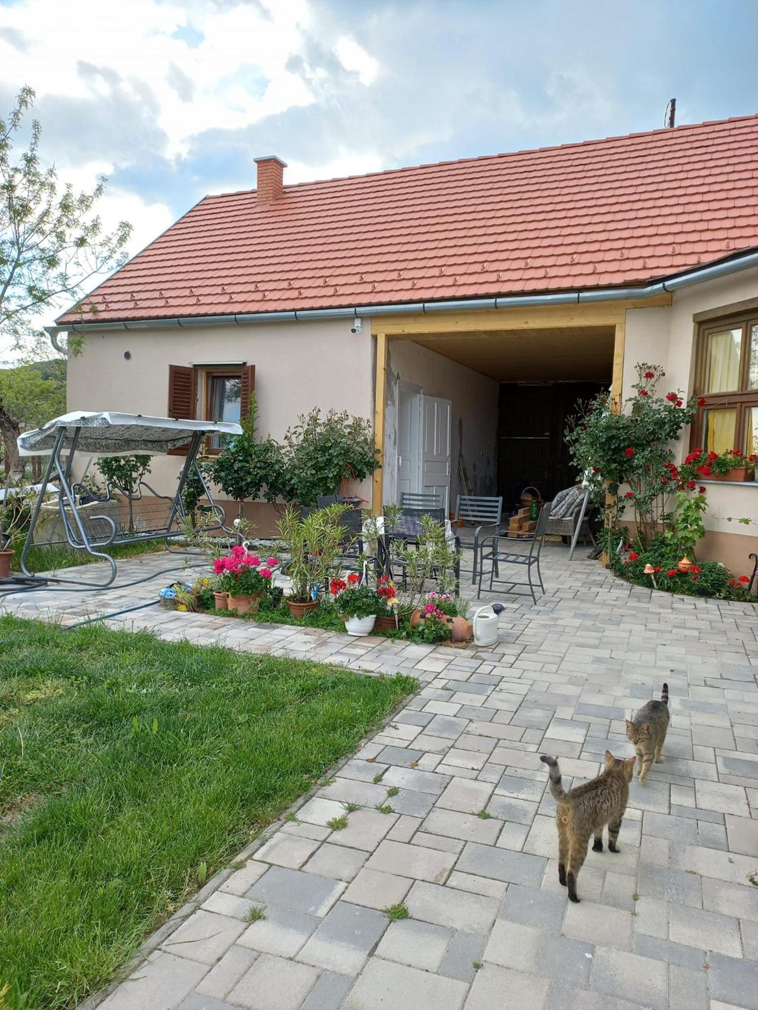 Bormegallo Vendeghaz Szekszárd Dış mekan fotoğraf